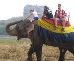 elephant-safari-at-the