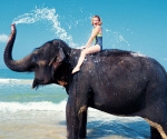 Sri Lanka Elephant Safari